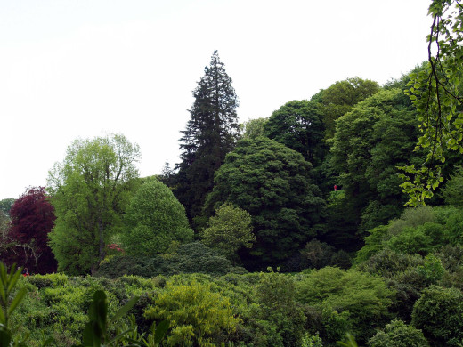 434535 (a): :2400x1800